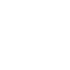 robustaicon copy